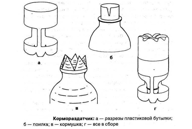 Кормораздатчик из пластиковой бутылки