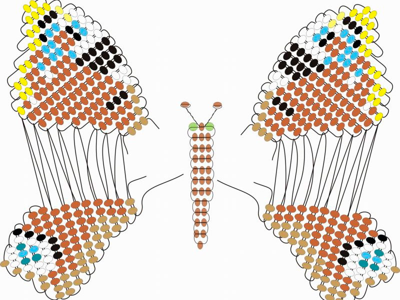 Бабочки схема