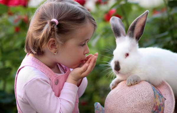 рожденная в год кролика что ждет 2023
