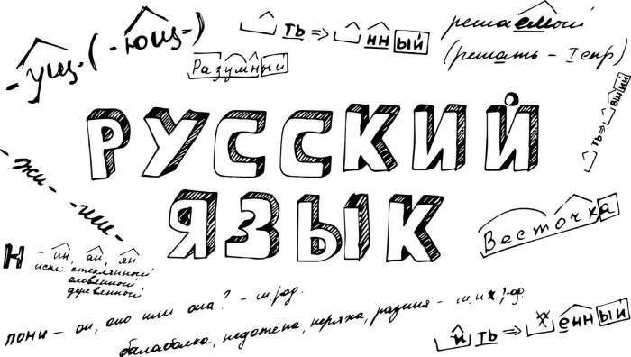 Как написать курсовую работу по русскому языку: пошаговое руководство