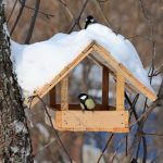 Защита домика для птиц от снега
