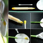 Каллы из ватных дисков