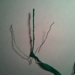 Скручиваем проволоку так, чтобы получилась веточка, после чего обматываем её полоской( шириной 1см.) зелёной бумаги.