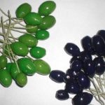 Мастер-класс виноград из жёлудей