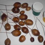 Пошаговое создание виноградных гроздей