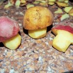 Грибы из картошки