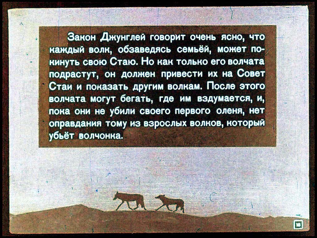 Закон джунглей книга 8. Законы джунглей из сказки Маугли. Первый закон джунглей Маугли. Диафильм по сказке Маугли. Диафильм Маугли СССР.