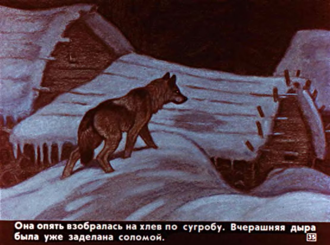 Павлович чехов белолобый. Иллюстрация к произведению Чехова белолобый. Чехов белолобый 3 класс. Волчиха белолобый.