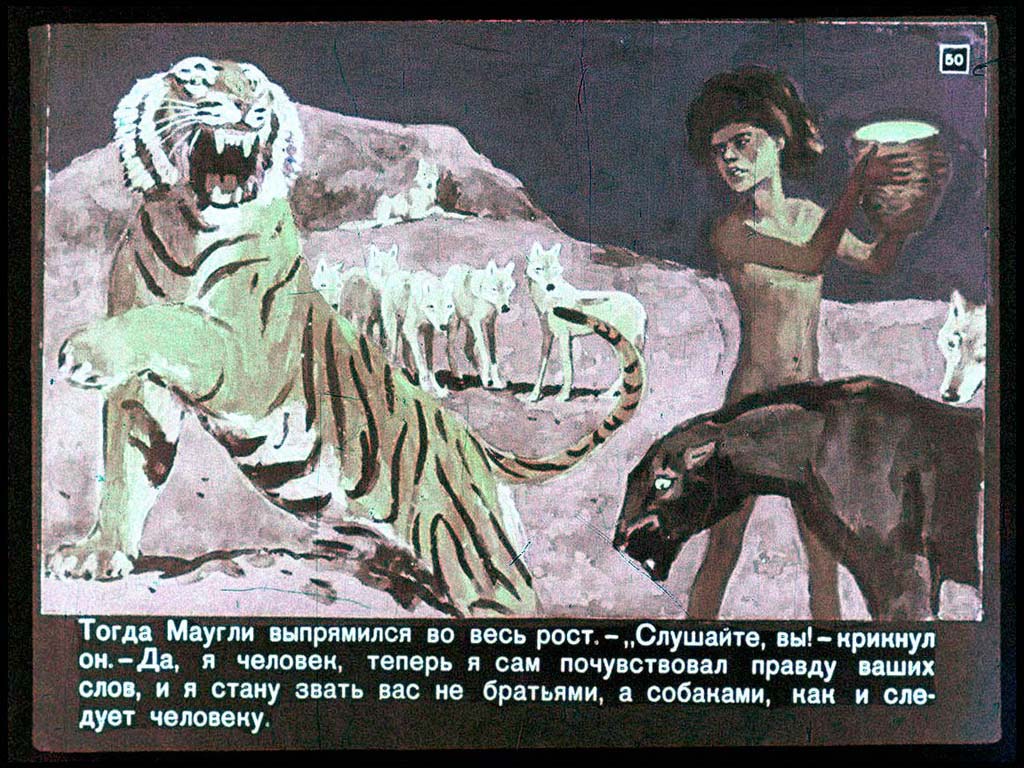 Произведение братья маугли. Маугли 1969. Книга Киплинг Маугли СССР. Братья Маугли из книги Маугли.