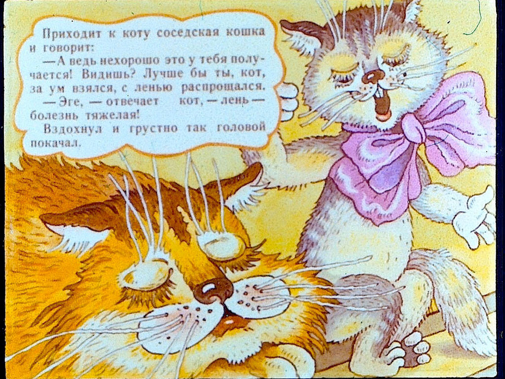 Книга про кота читать. Стихотворение про ленивого кота. Глупый котенок сказка. Сказка о коте. Сочинить сказку про ленивого кота.