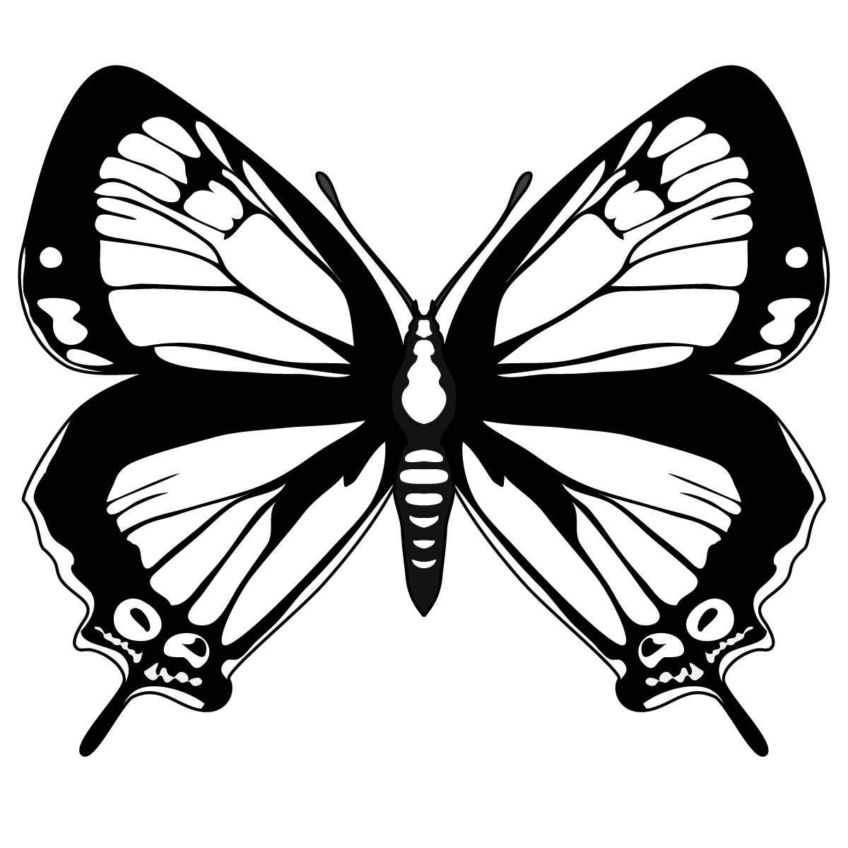 Бабочка скопировать. Бабочка рисунок. Раскраска "бабочки". Бабочка черно белая. Бабочки картинки для печати.